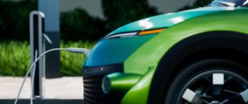 growth banner