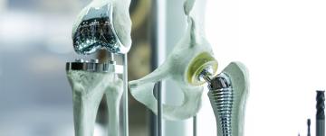 Knee joint