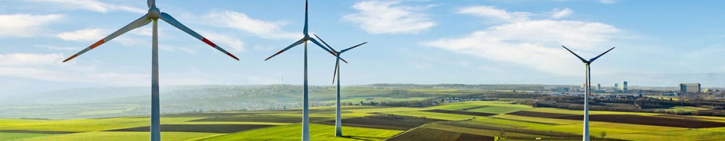 LIMIT OUR ENVIRONMENTAL FOOTPRINT