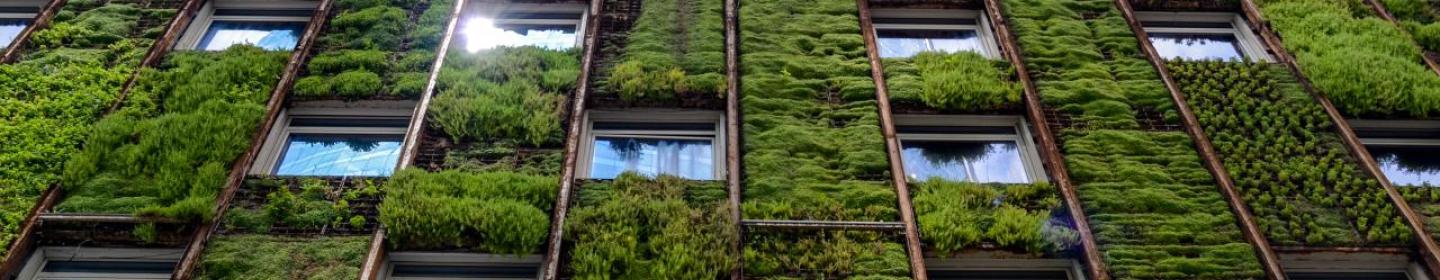 sustainable building