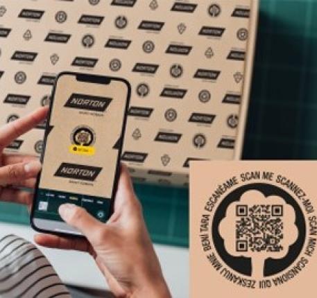 Norton Box scan